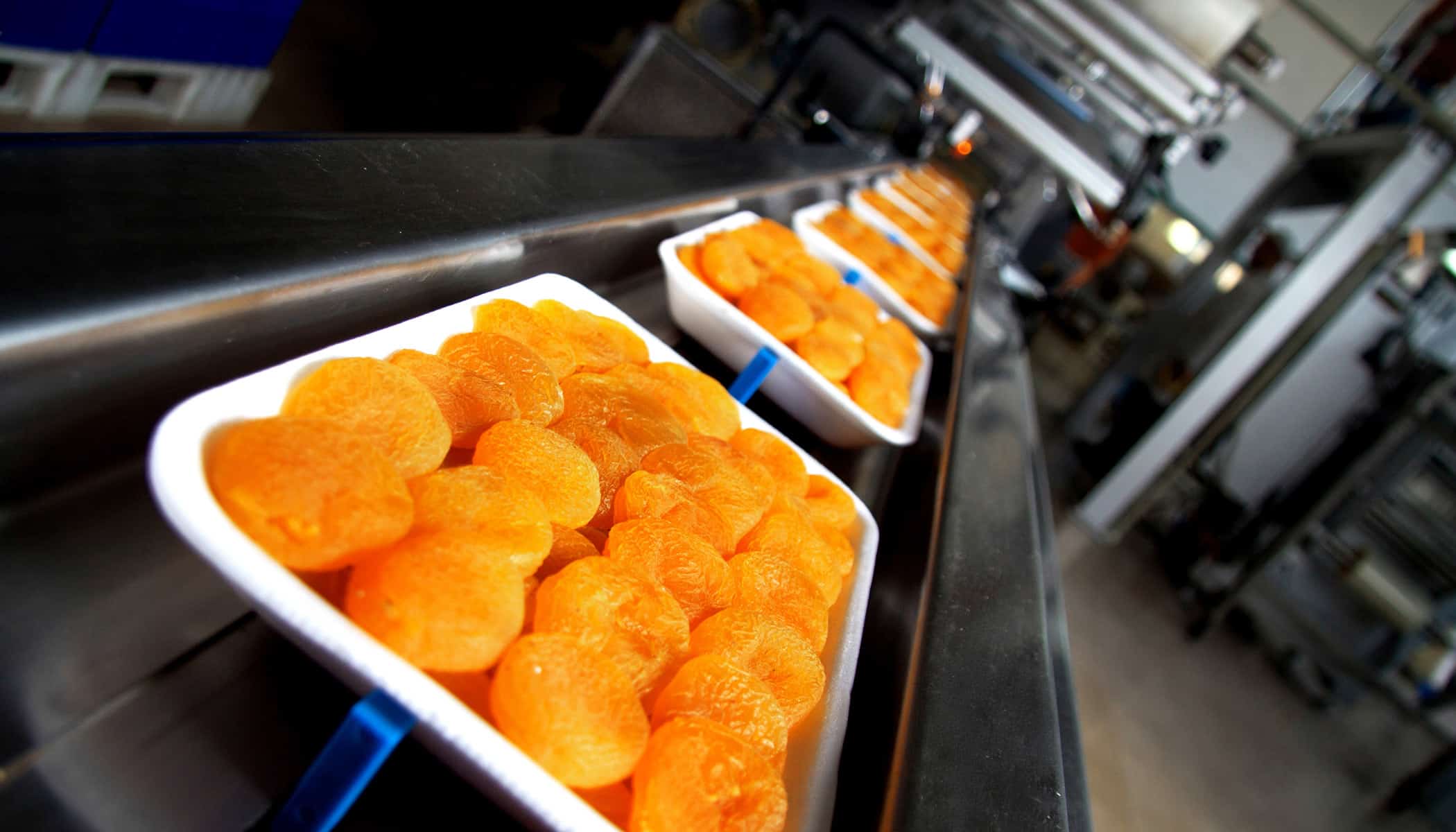 Food Processing Zero Downtime